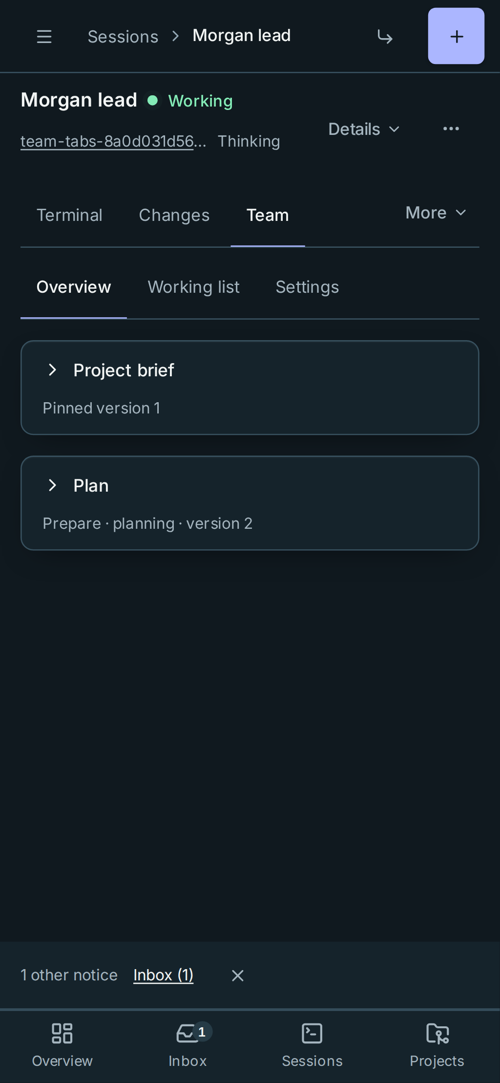 Overview on a phone