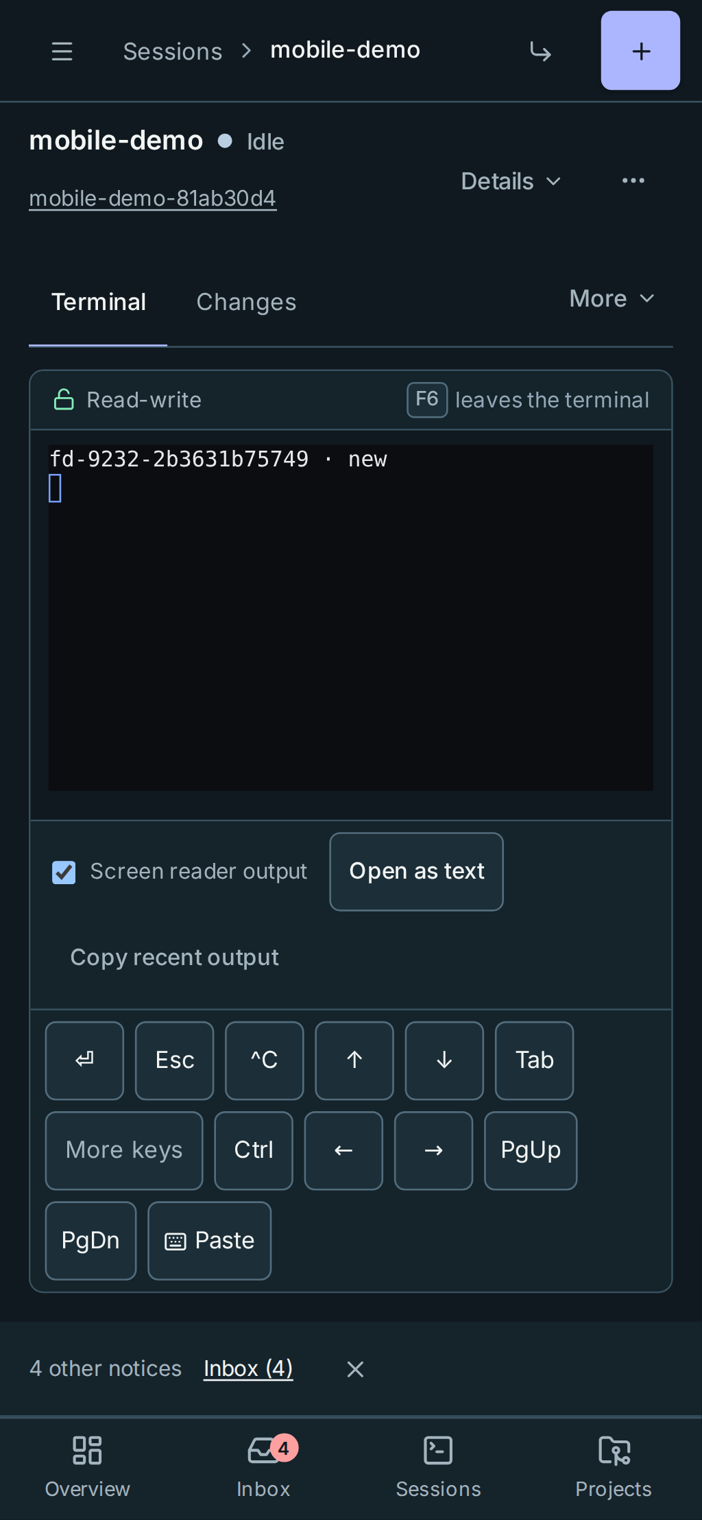A session on a phone: one-line header, Terminal and Changes tabs, More, and the key bar with Enter first