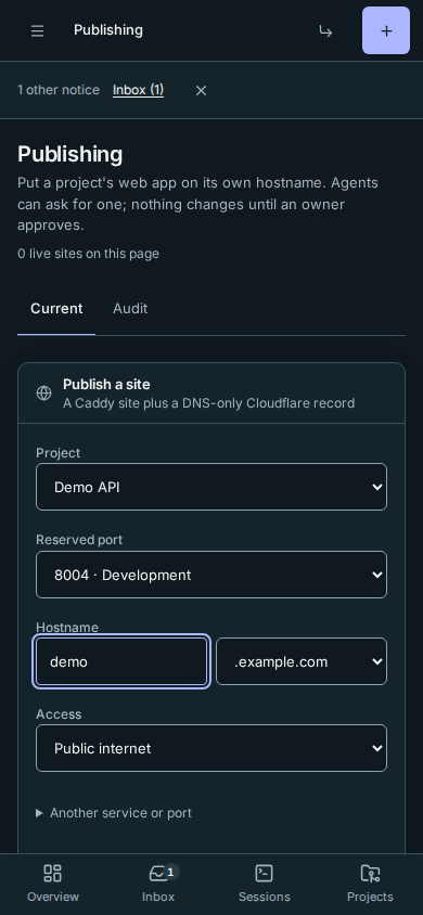 Publishing a project's reserved development port on a phone, with the HTTPS address and public audience visible
